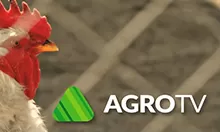 Agro TV Online